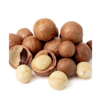 Macadamia nuts wholesale bulk supply affordable price high grade nuts from MT Trading GmbH Macadamia nuts wholesale bulk supply affordable price high grade nuts - MT Trading GmbH - Germany