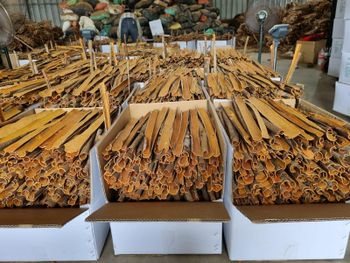 cigar cassia / split cassia /pressed cassia / broken cassia from Prosi,.JSC cigar cassia / split cassia /pressed cassia / broken cassia - Prosi,.JSC - Vietnam