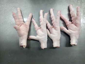 Chicken Paws - Marcos - Brazil