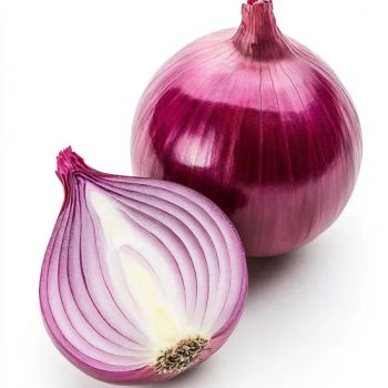 2025 Chinese Fresh Onion Indian Importer Onion Seeds 50kg Mesh Bag Onion for Sale - Jiangsu e.Funs Import & Export Co., Ltd. - China