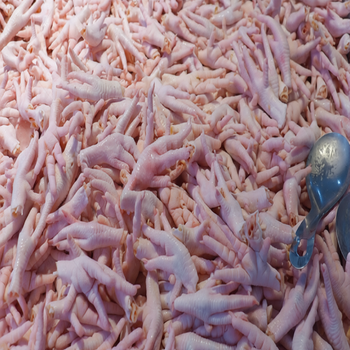 Wholesale Frozen Chicken Feet and Premium Halal Chicken Paws for Global Buyers from LUKOSI GLOBAL TRADERS LTD Wholesale Frozen Chicken Feet and Premium Halal Chicken Paws for Global Buyers - LUKOSI GLOBAL TRADERS LTD - Netherlands