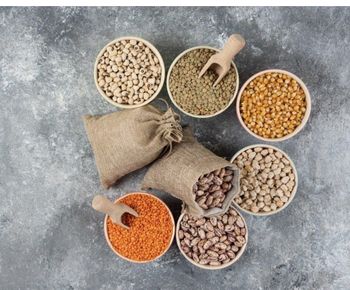 Legumes - Niloofarkamyab company - Iran