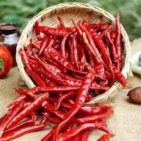 Premium Indian Red Dry Chilli - INDIEXPOGLOBAL PRIVATE LIMITED - India