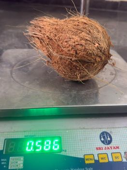 Semi Husked Coconut Organic Yes Origin India Degree of Processing Fresh - Zenith One Global - India