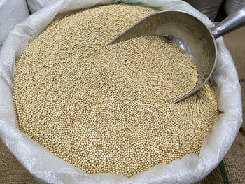 QIUNOA - NEEMUCH AGROTECH - India