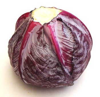 Red Cabbage Style Fresh Type Cabbage Weight (kg) 1.5 Variety red cabbage Model Number FRCAB01 Cultivation Type GMO Place of Origin - EL YAPANY FOR TRADE AND GENERAL IMPORT & EXPORT - Egypt