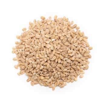 Natural Barley Grain With Smooth Texture Premium Barley Grain Available For Bulk Purchase And Large Orders - AGRO AFRIQUE COMPANY LIMITED - Tanzania