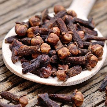 Premium Natural Dried Whole Cloves Spice Bulk Wholesale High Quality Clove for Cooking & Seasoning from AGRONOVA Premium Natural Dried Whole Cloves Spice Bulk Wholesale High Quality Clove for Cooking & Seasoning - AGRONOVA - United States