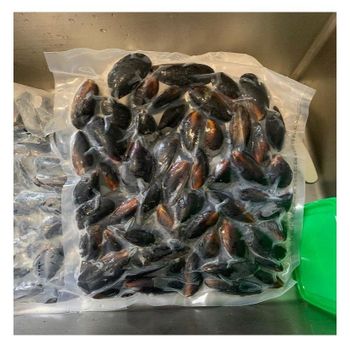 Best Price Frozen Seafood Musses With Shell / Mussels Meat Bulk Stock Available With Customized Packing - Exigentelaxia Unipessoal Lda - Portugal