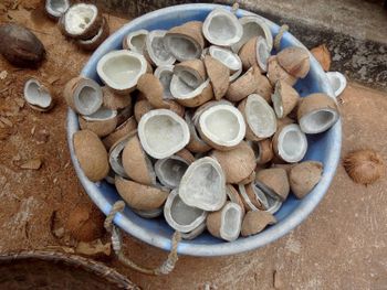 Best Quality Fresh Coconut Copra Ball with Pulp Oil Content 60-63% 1st Grade 12 Months Shelf Life from CPW TRADE LTD Best Quality Fresh Coconut Copra Ball with Pulp Oil Content 60-63% 1st Grade 12 Months Shelf Life - CPW TRADE LTD - United Kingdom