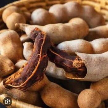 Tamarind – product photo, Tamarind products found from trusted suppliers, wholesalers, manufacturers & exporters Listing