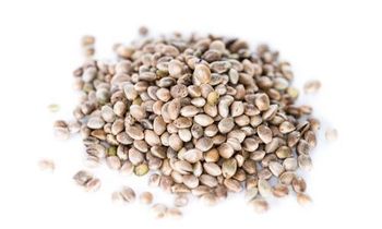 Hemp protein - BIOALTECH - Italy