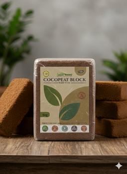 Cocopeat - Amicis Inc - India