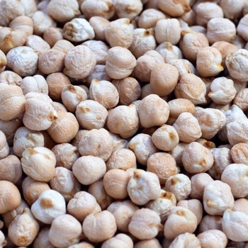 Organic Whole Chickpeas High Protein Chickpeas With Low Moisture And Uniform Shape For Bulk Trade And Supply - malter group - Tanzania