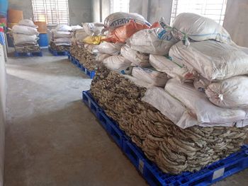 Dried beef omasum (AA / A / B / C grades) Product Grades Grade Aa, Grade A, Grade B, Grade - AMS Corporation - Bangladesh
