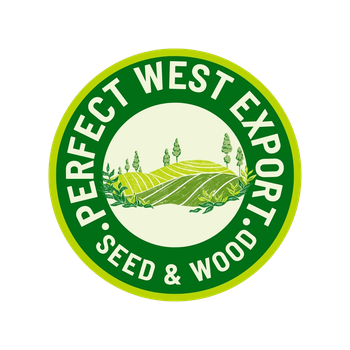Product - Perfect Export Seed Wood - Belarus