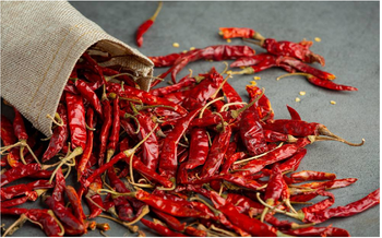 Red Chilli - Fortune EXIM & General Tradings - United Arab Emirates