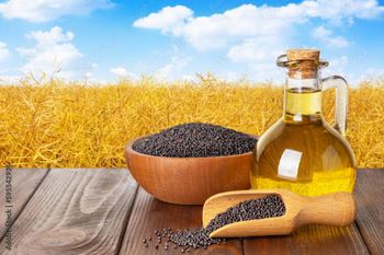 Rapeseed Oil - ADWA Solutions LLC - United States