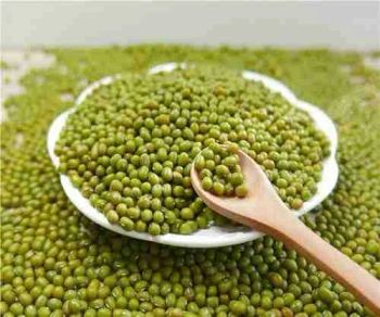 Wholesale Green Mung Beans 50kg Package Mung Bean Brand Custom Shelf Life 2 YEARS Quality Top-quality Place of Origin THAILAND -  DAEWKAEW PANTAMANG Co., Ltd - Thailand
