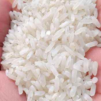 Indonesian Ledong Rice Origin Other Features Organic Delivery Form Other - SangRai Indonesia - Indonesia