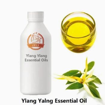 Ylang-Yang Oil Aromatherapy Body Massage Pure Concentrated Ylang Ylang Essential Oil - Hefei July Biotechnology Co., Ltd. - China