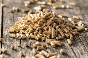 High quality biomass wood pellets available at factory price for wholesale buyers - Leta Trading sprl - Poland