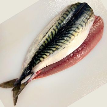 Fresh Catch Style Frozen Whole Horse Mackerel Delivered With Advanced Freezing Process And Hygienic Packing - malter group - Tanzania