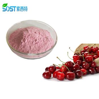 SOST Supply Wholesale Vitamin C Organic Acerola Cherry Extract Powder - Xi an Sost Biotech Co., Ltd. - China
