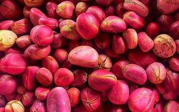 Kola nut Place of Origin Nigeria Texture Pure And Intact Flavor Natural With Caffeine Content Origin Tropical Rainforests Of Africa - Franceman Exportation LLP - Nigeria
