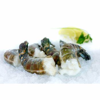 Frozen Tiger Shrimps Export Focused Seafood With Exceptional Fresh Character Uniform Processing And Strong Market Demand - TOSOH INTERNATIONAL - South Africa