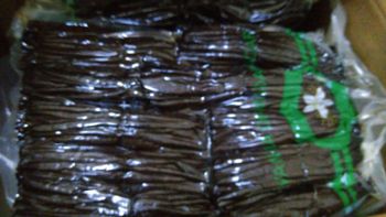 Vanilla beans - MIa beauty and essentials - United Arab Emirates