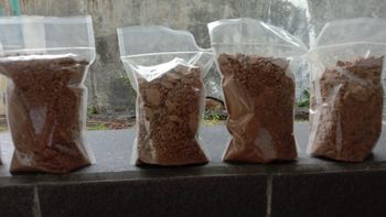 Copra Meal - PT Nusantara Avia Indonesia - Indonesia