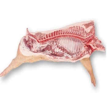 Halal Frozen Beef Carcass / Frozen beef feet / Frozen beef Head - N.G westen holding B.V - Netherlands