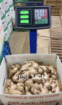 Fresh Ginger from BSL MERCHCONNECT Fresh Ginger - BSL MERCHCONNECT - Thailand