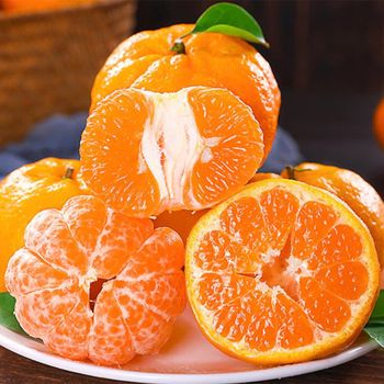 factory supply new arrival fresh orange fruit fresh orange fresh ponkon juicy fresh Mandarin - Zigui County Qugu Food Co., Ltd. - China