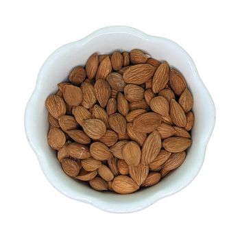 Premium apricot kernels supplied in large quantities at affordable price for exporters - AFRIVET TRADING SERVICES - South Africa