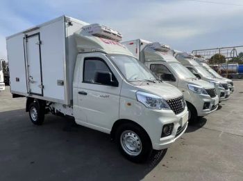 Foton 2t Insulated Refrigerated Truck for Fresh Food Delivery - Chengli Special Automobile Factory - China
