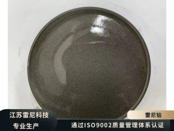 Low Dust Raney Nickel Catalyst 99% Purity CAS7440020 MOQ100 1Y 1453C 2732C China - Jiangsu Renyi Metal Technology Co., Ltd - China