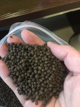 Granular Phosphate Fertilizer from BF GLOBAL TRADING (PTY) LTD Granular Phosphate Fertilizer - BF GLOBAL TRADING (PTY) LTD - South Africa