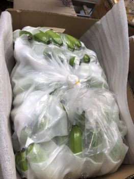 Green Banana - Tien Hao Trading Service Company Limited - Vietnam