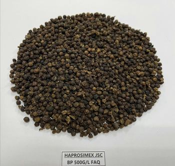 VIETNAMESE BLACK PEPPER 500G/L FAQ - Haprosimex - Vietnam