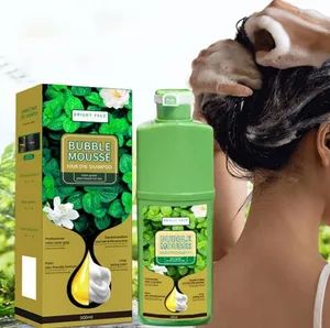 Nature Herbal Bubble Mousse Hair Dye Colors Fast Black Hair Colour Non Allergy Hair Color Dye Shampoo Semi-Permanent Green Essence Cream - Yixing Allwin Products Co., Ltd. - China