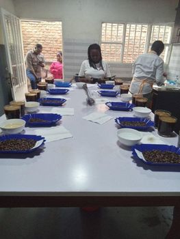 Green beans coffee from KCC Ltd Green beans coffee – product photo, Long Green Beans products found from trusted suppliers, wholesalers, manufacturers & exporters Listing