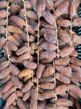 Premium Tunisian dates deglet noor - Ichaoui trading - Tunisia