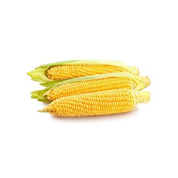 Premium grade yellow maize for export to international markets - MASI TRADING GMBH - Germany