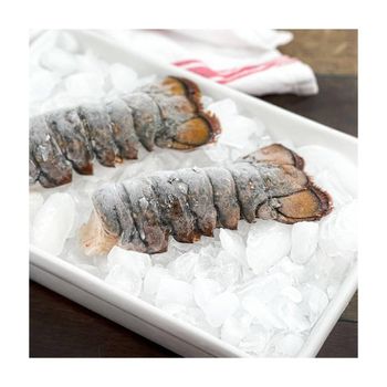 Factory Price Frozen Lobster Tails Seafood Product Bulk Sale Supply - MASI TRADING GMBH - Germany