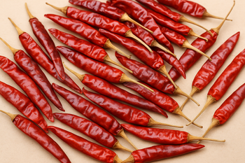 Dry Red chilli hole - Venkateshwara enterprises - India