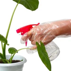 Kitchen Multipurpose Waterproof PE Plastic Gloves Disposable Gloves - JUXIAN CHANGLING POLYCON PLASTIC PRODUCT CO., LTD. - China
