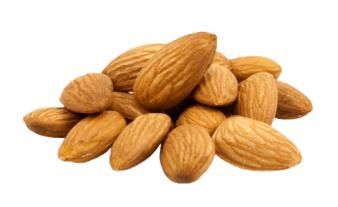 Raw almond kernel (bitter) - SULTAN AGRO IMPEKS - Uzbekistan