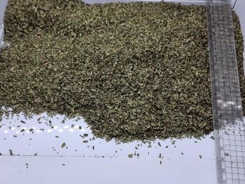 Peppermint Type Dried Place of Origin Egypt Quality Premium, 1st - AROMATIC Herbs and Spices - Egypt